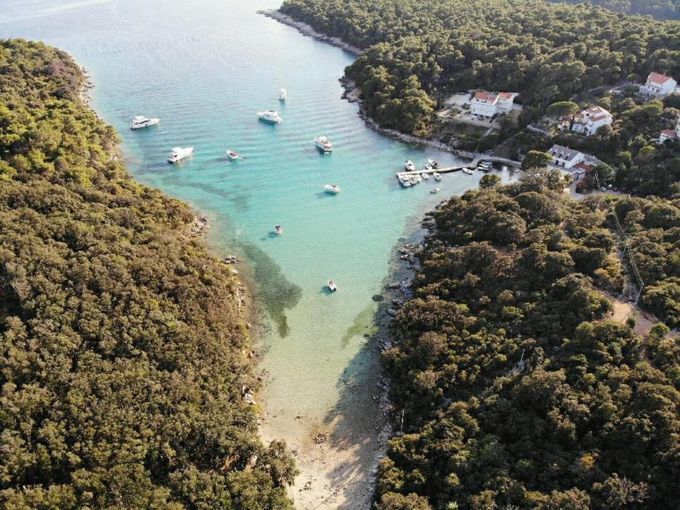 Milijana Apartments Rab Rab Town Zewnętrze zdjęcie