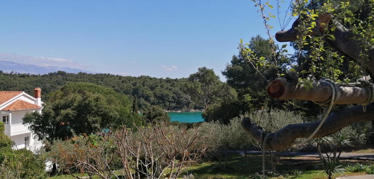 Milijana Apartments Rab Rab Town Zewnętrze zdjęcie