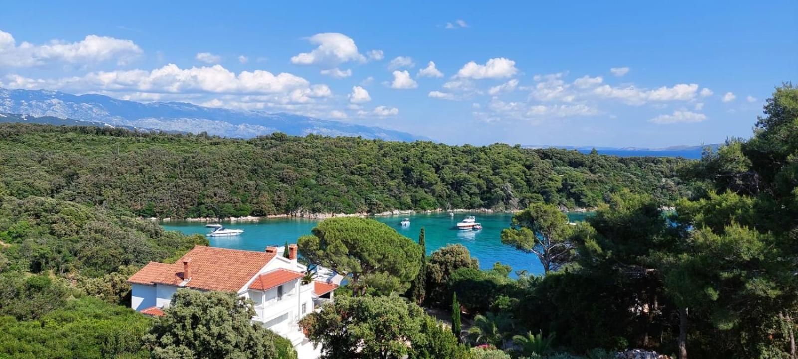 Milijana Apartments Rab Rab Town Pokój zdjęcie