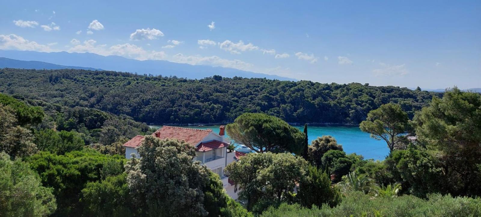 Milijana Apartments Rab Rab Town Pokój zdjęcie